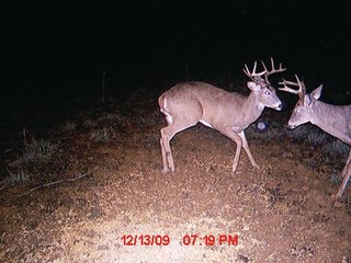 Property photo 38 - 1974 Acres in 23 Tracts Located in Christian, Hopkins & Edmonson County, Kentucky